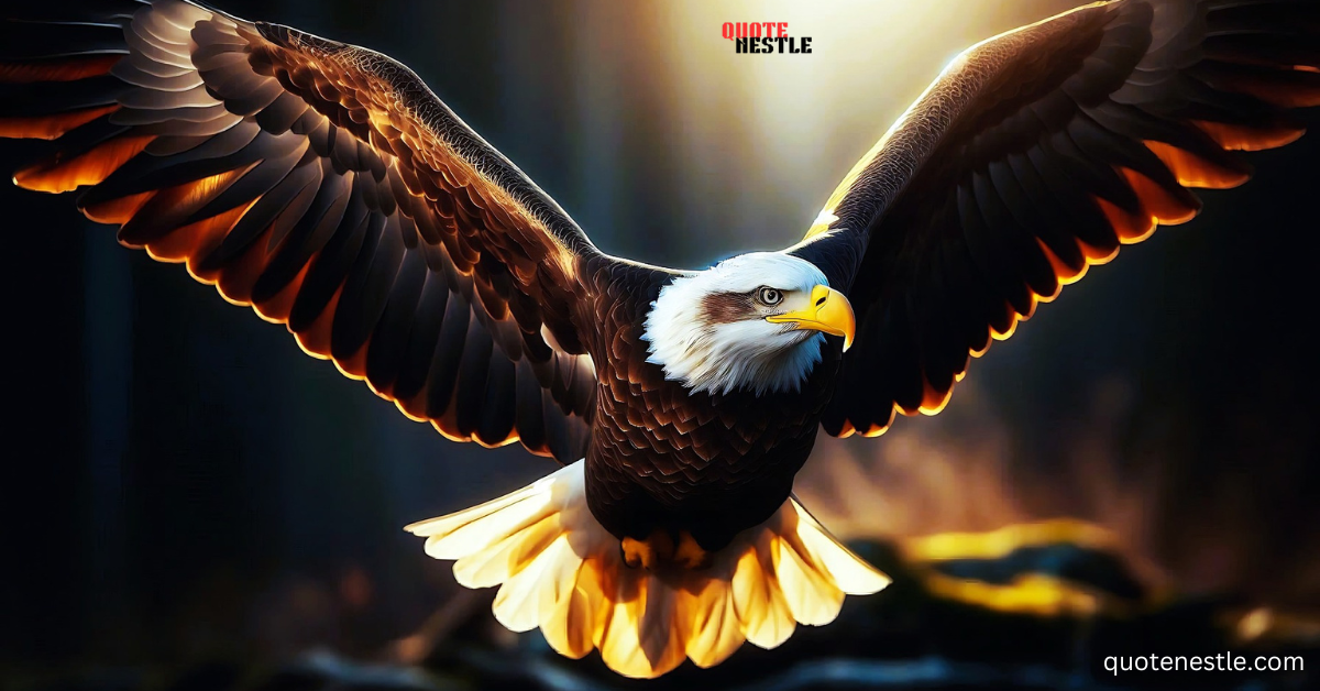 Eagle quotes