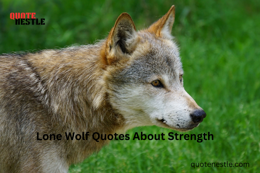 Epic Lone Wolf Quotes