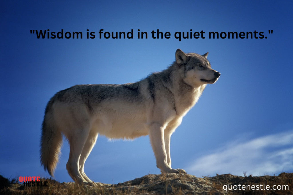 Wolf Wisdom quotes