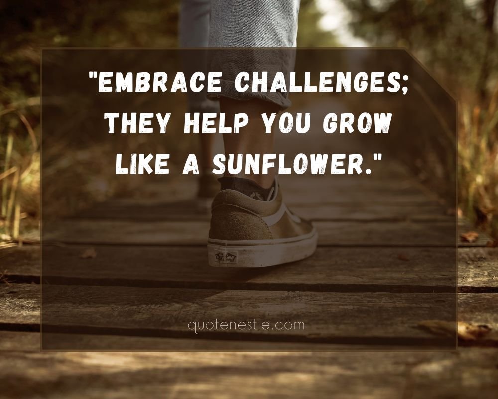 Best Sunshine Quotes for Instagram