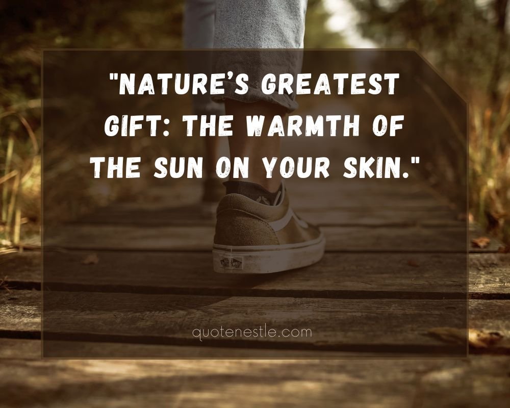 Best Sunshine Quotes for Instagram