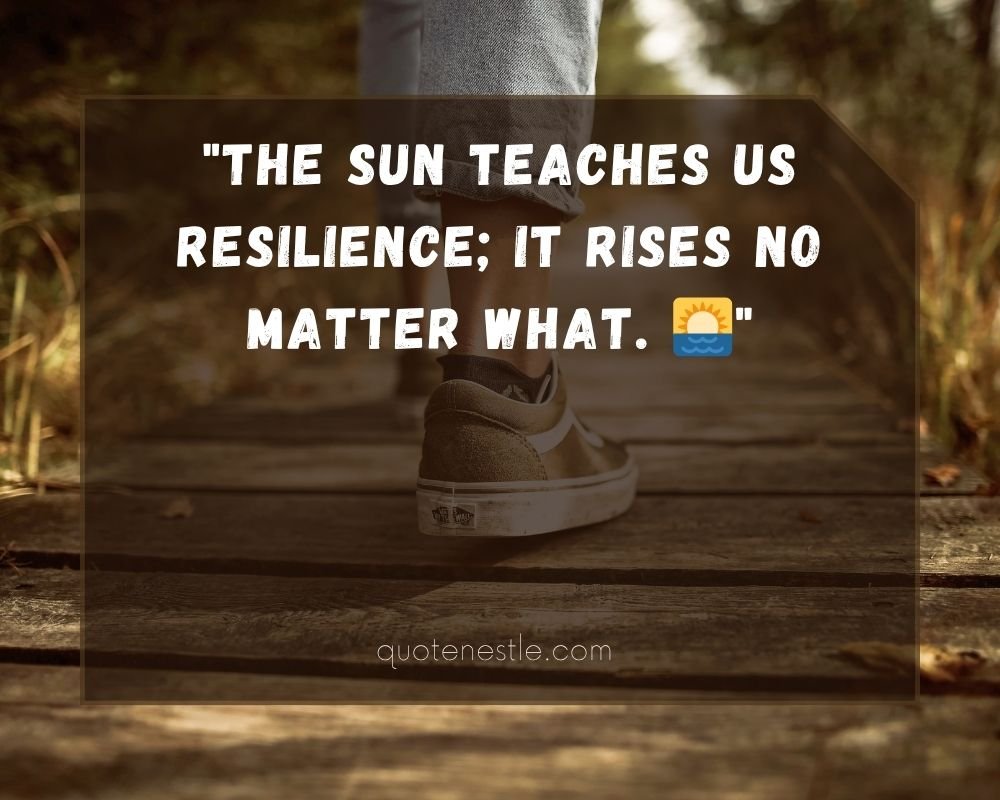 Best Sunshine Quotes for Instagram