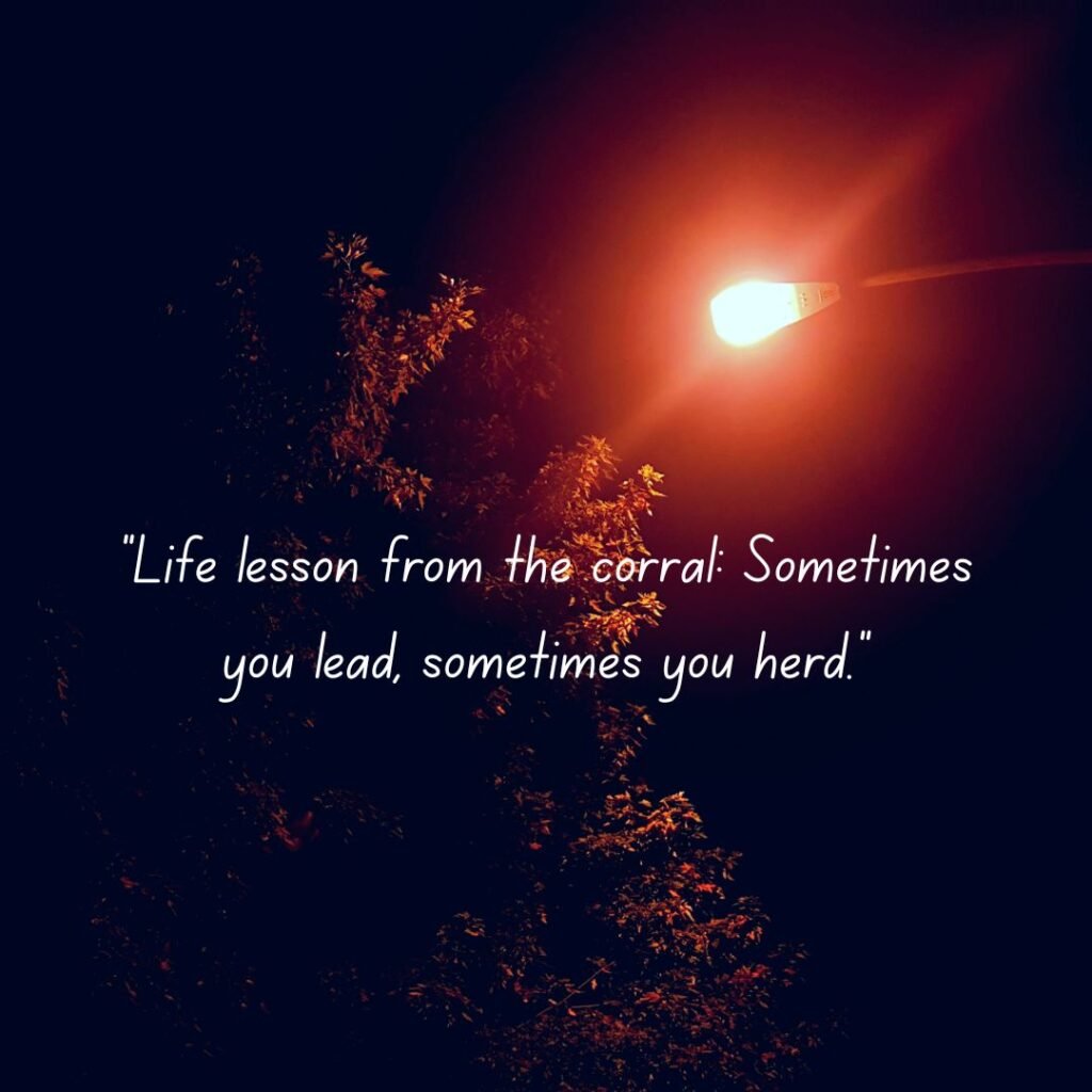 Life Lessons from the Corral