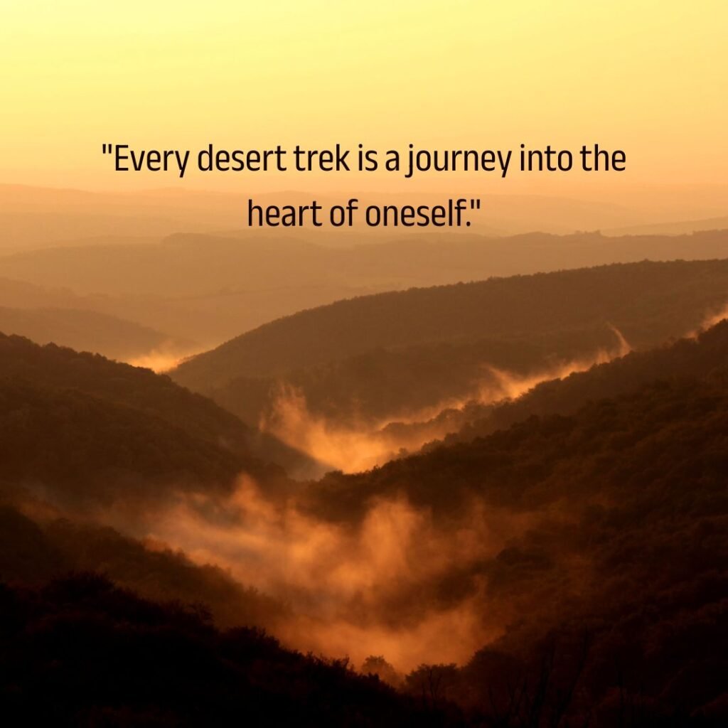 Reflections on Desert Journeys