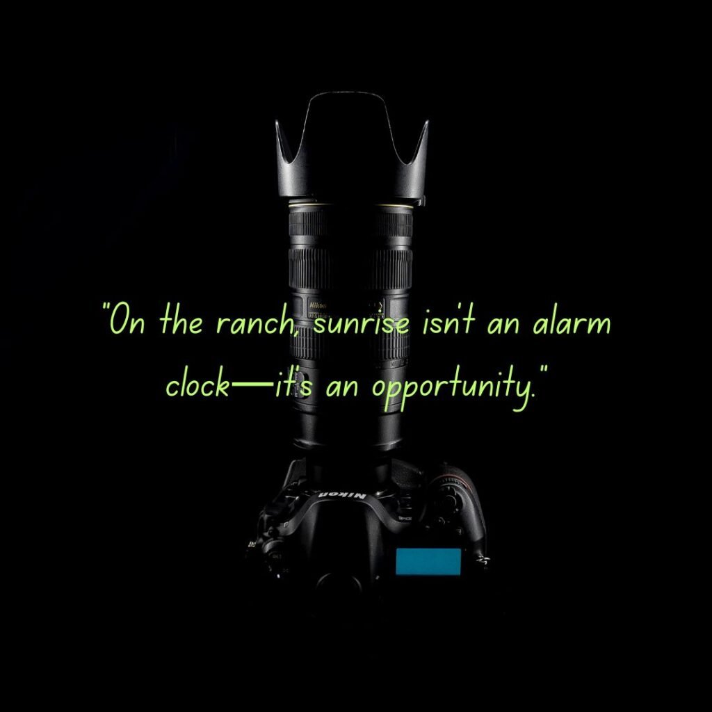 Ranch Life Lessons