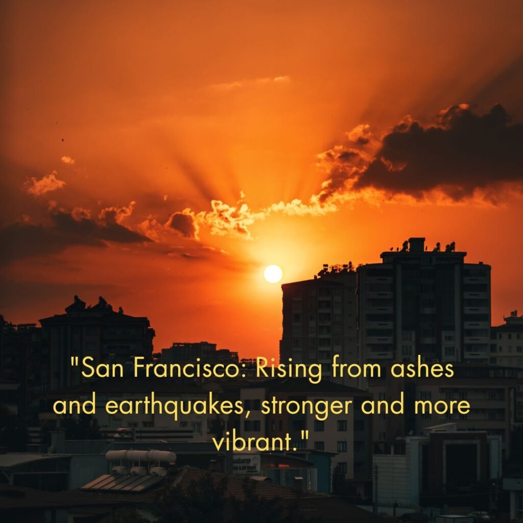 The City's Resilience