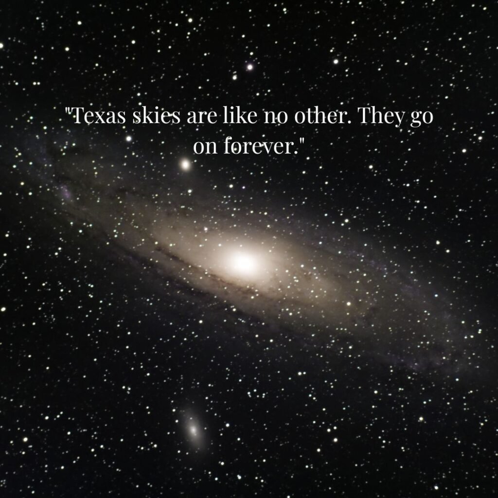 Texas Landscape