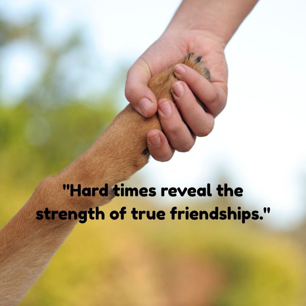 Hard times don’t last, but good friends do.