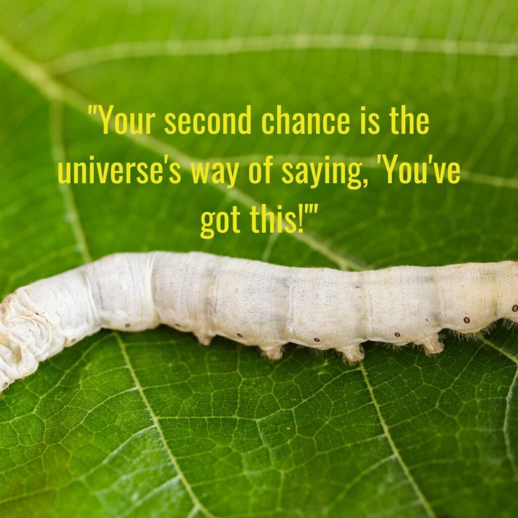 Inspirational Second Chances