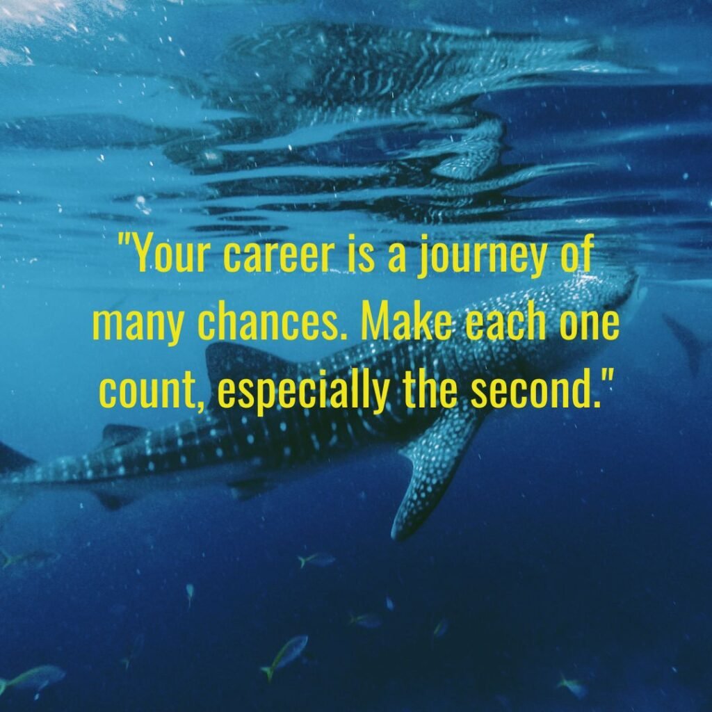 Second Chances in Career and Success
