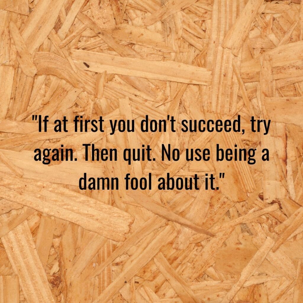 Humorous Takes on Second Chances