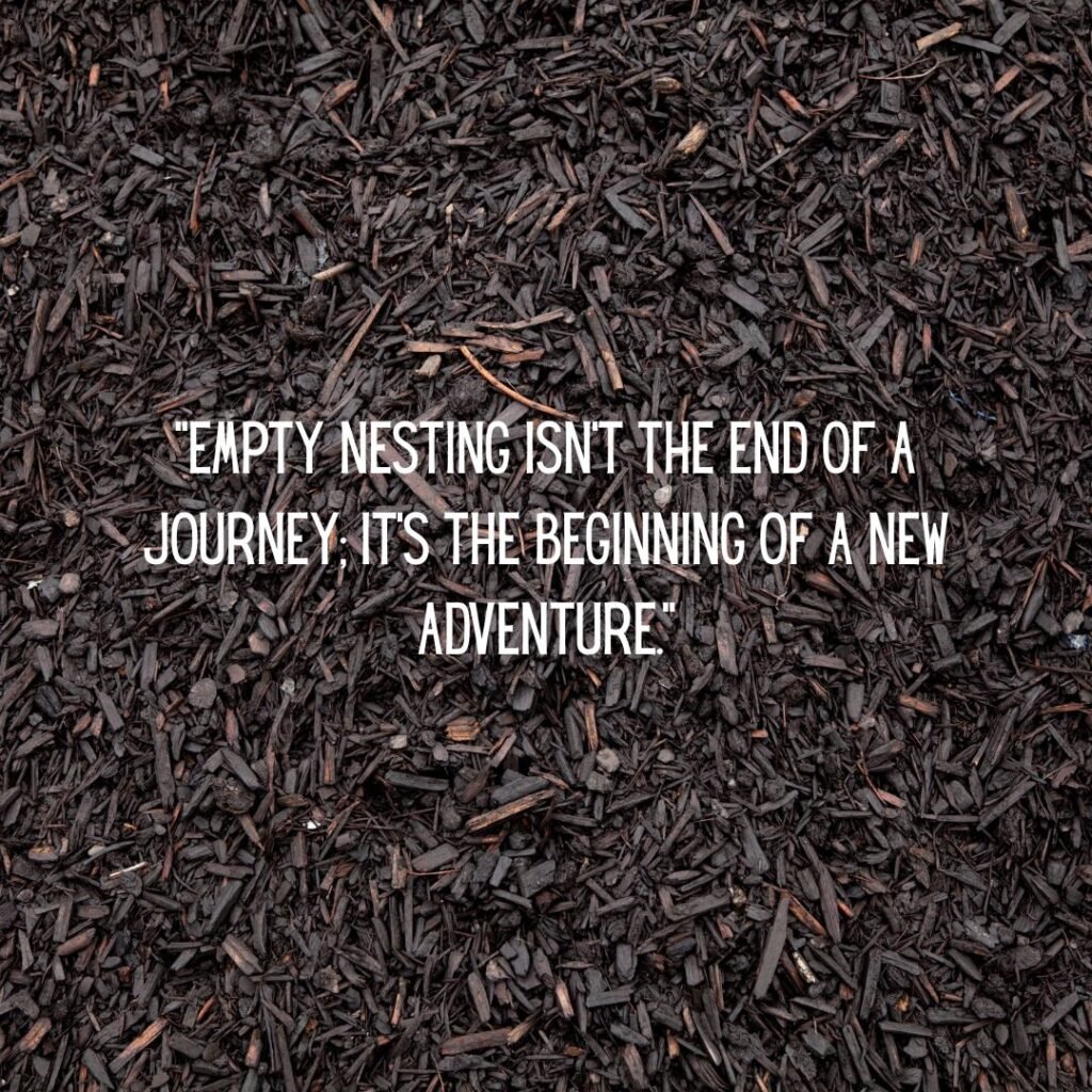Empty nest quotes Funny