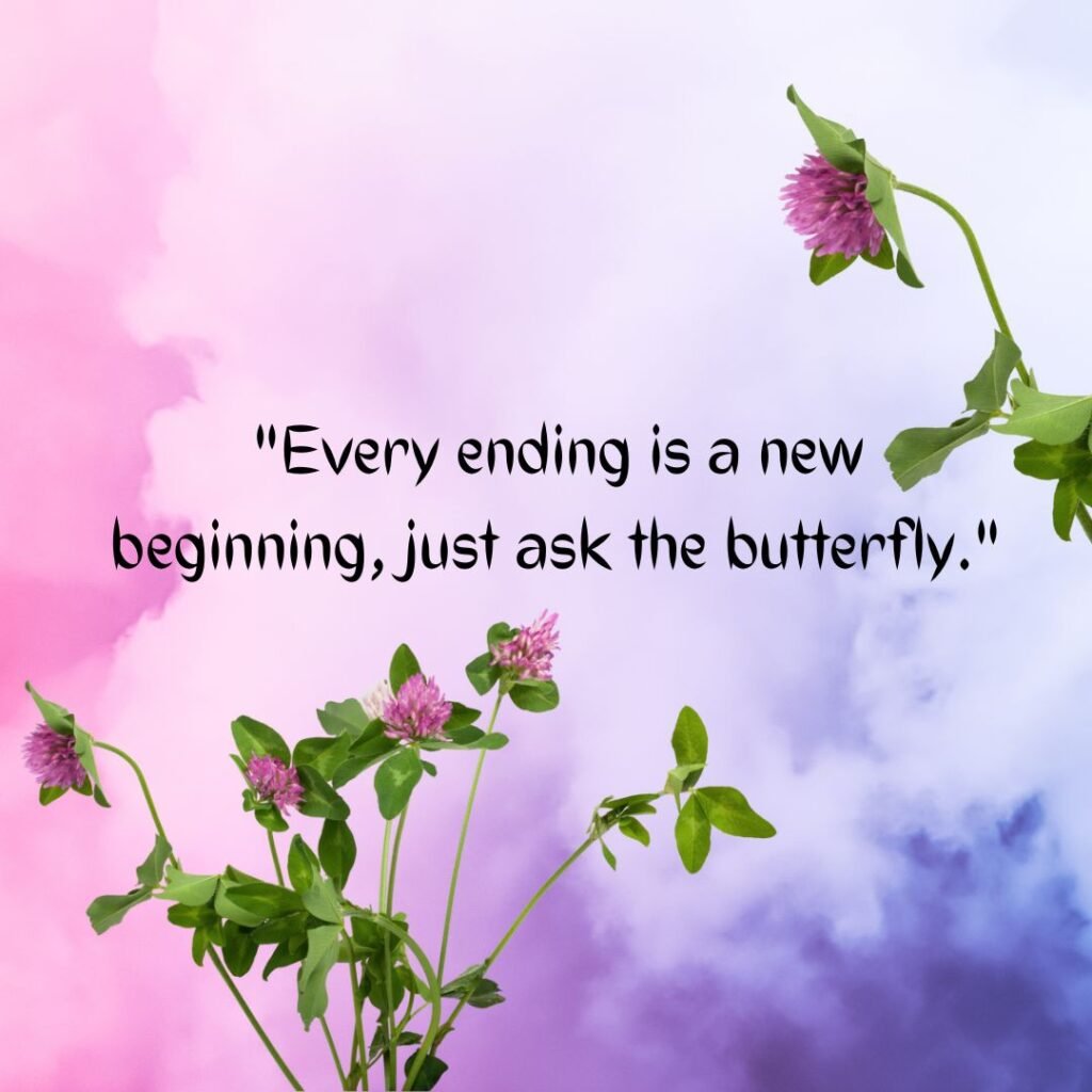 Embracing New Beginnings: Butterfly Metamorphosis Quotes