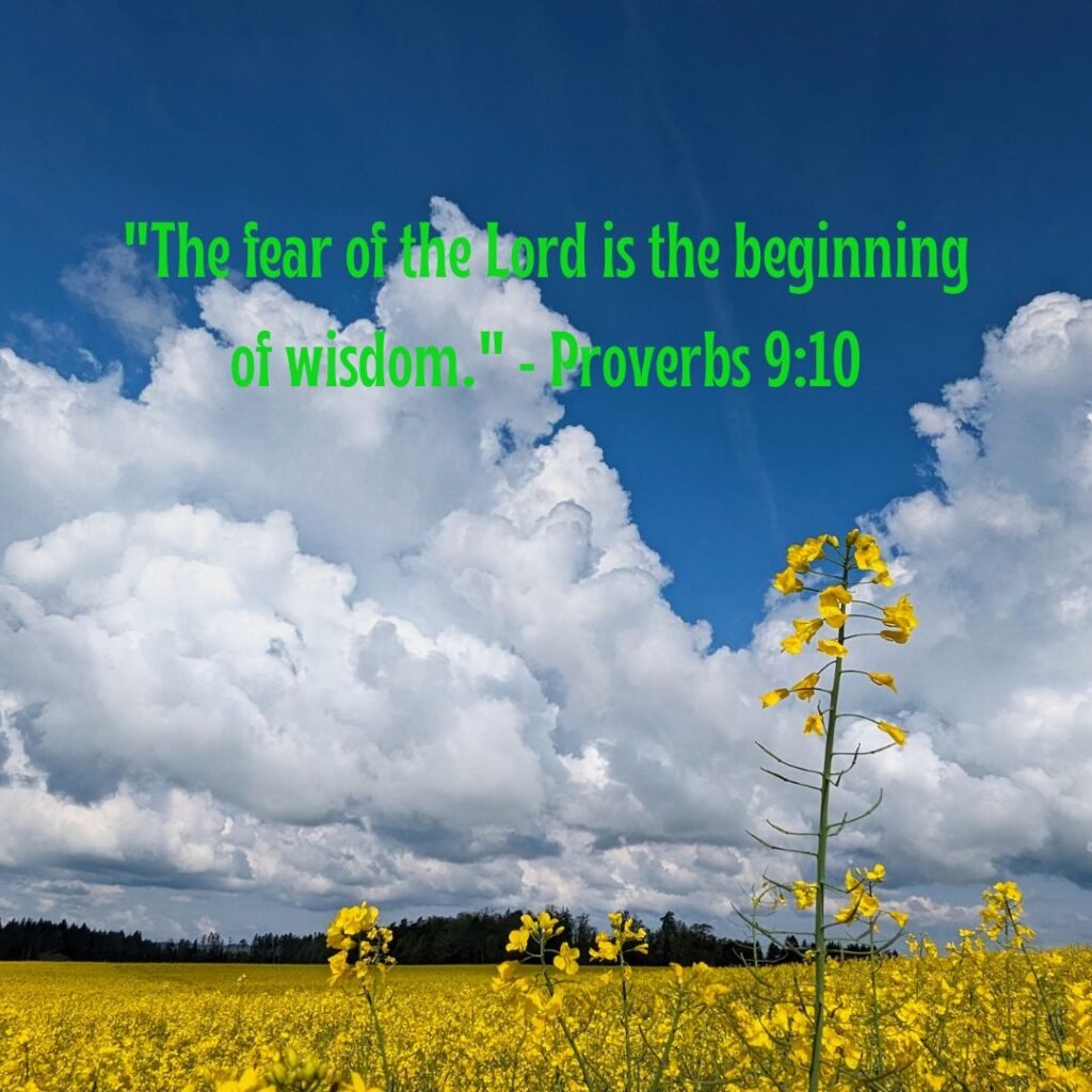 Walking in Wisdom