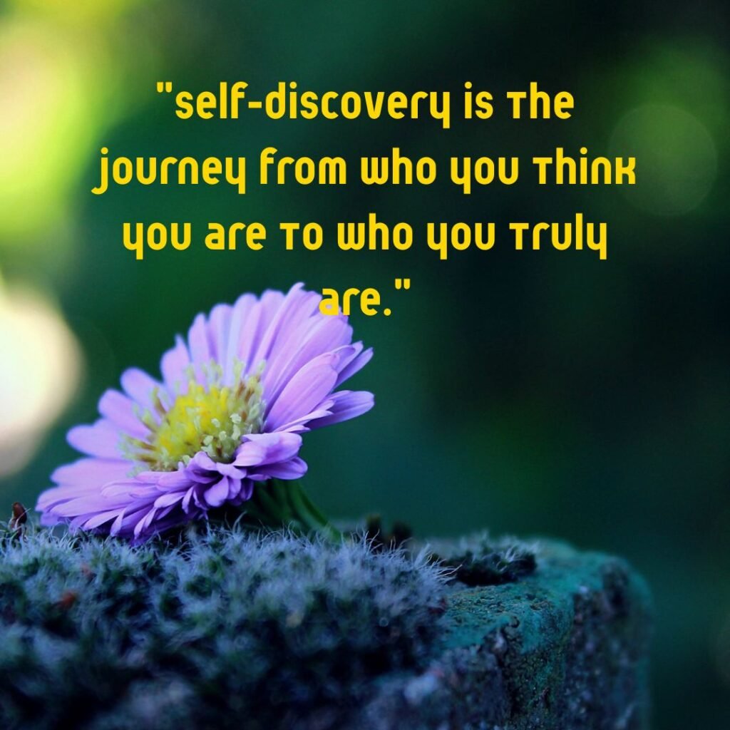 The Journey of Self-Discovery