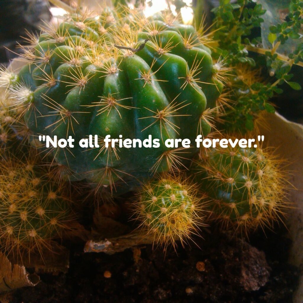 Short Friendship Breakup Quotes