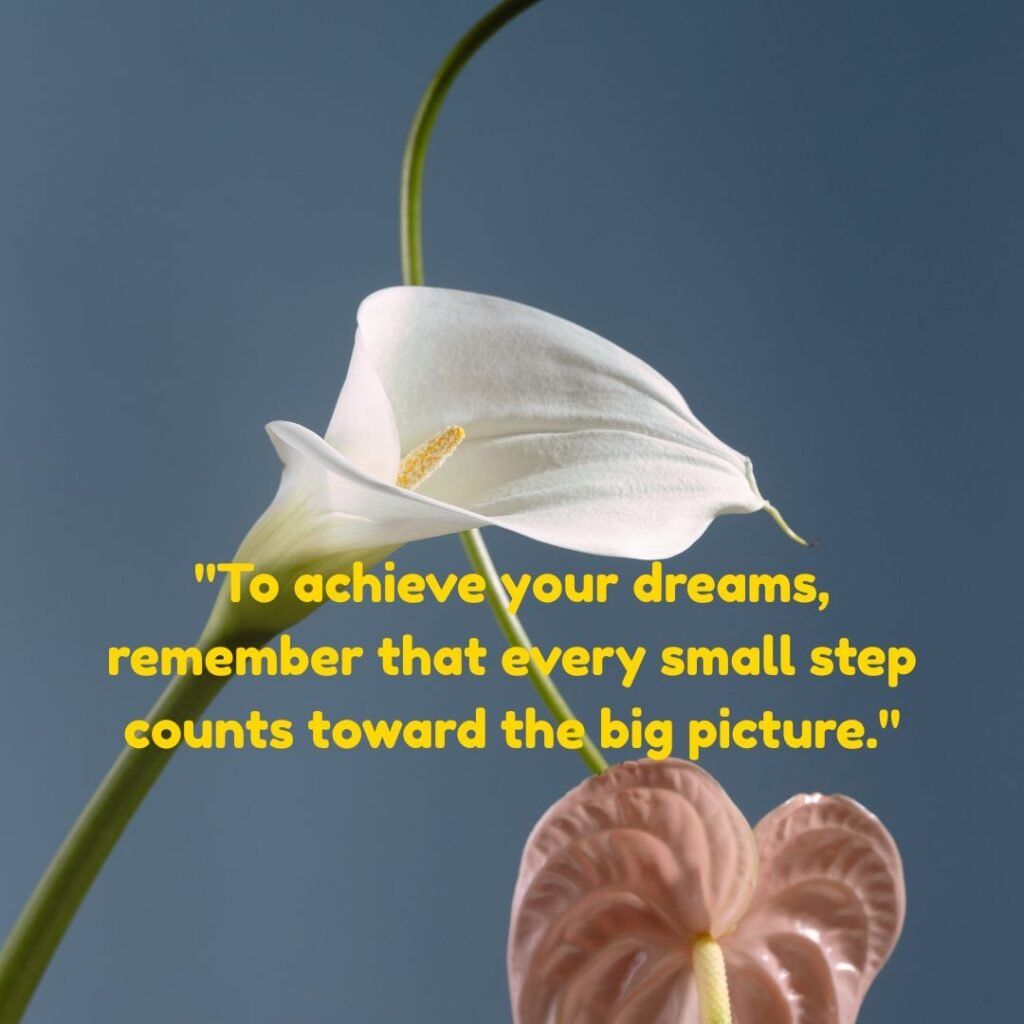 Achieve Your Dreams Quotes