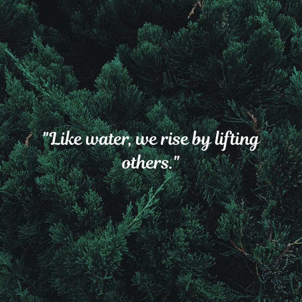 Inspirational Pool Quotes