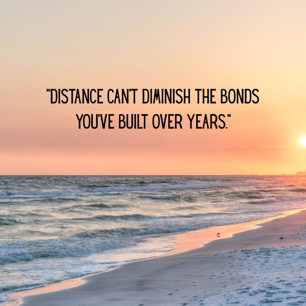 Great empty nest quote