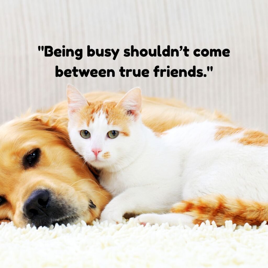 Being busy is not an excuse.