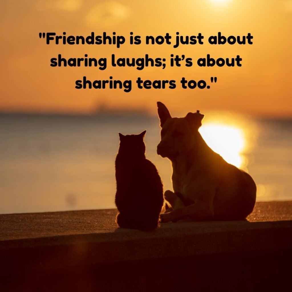 Let me explain friendship to you, since you don’t seem to understand.