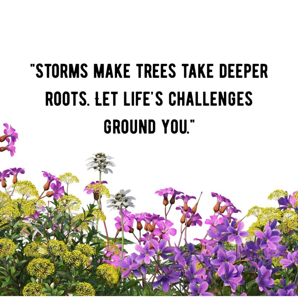 Navigating Challenges