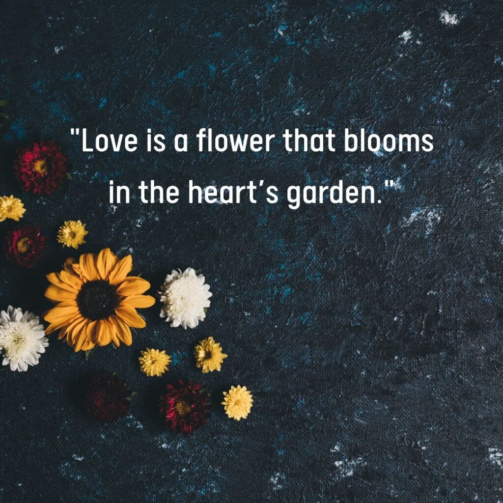 Love and Relationships