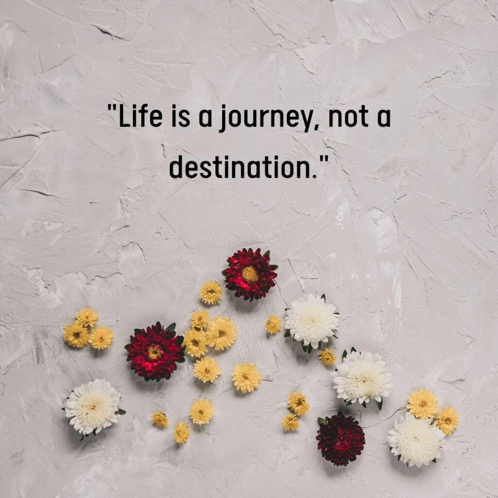 Life Lessons and Wisdom