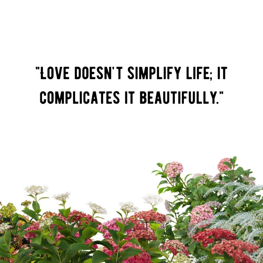 Love and Relationships