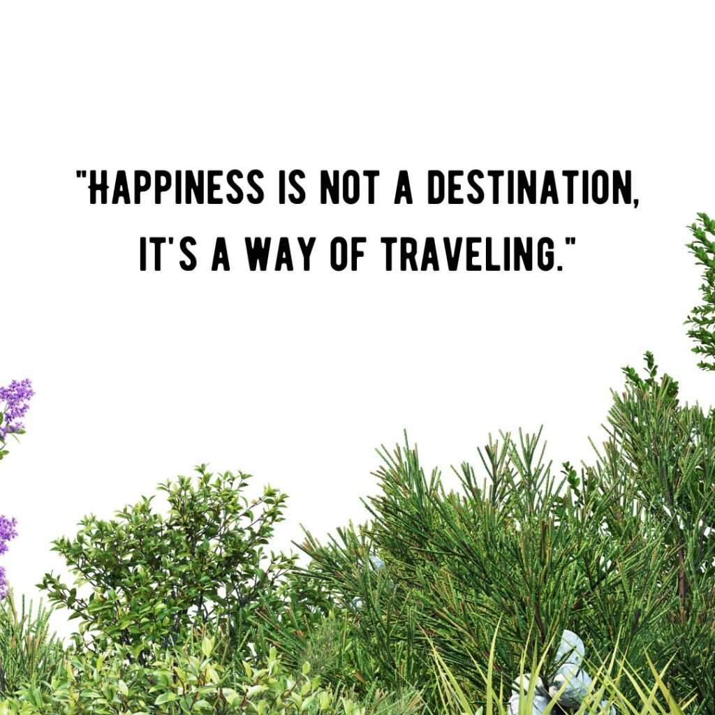 Happiness and Contentment