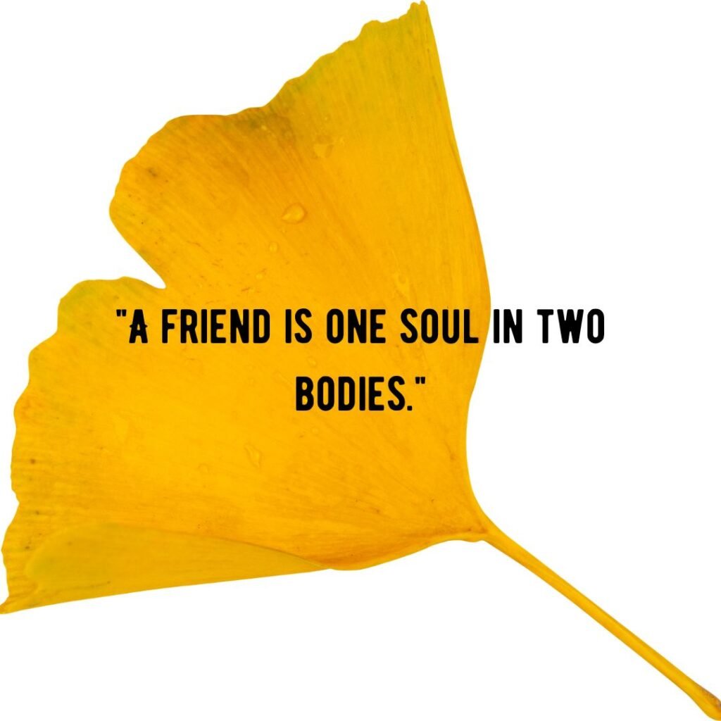 Friendship