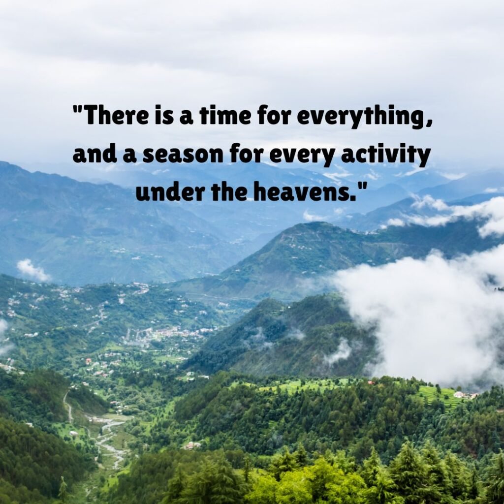 God's Timing in Success