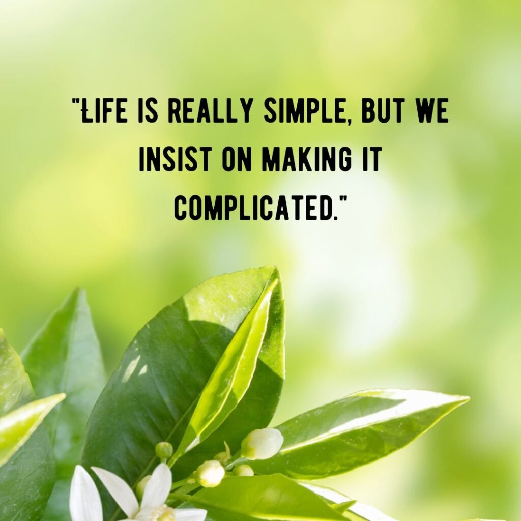 Finding Simplicity