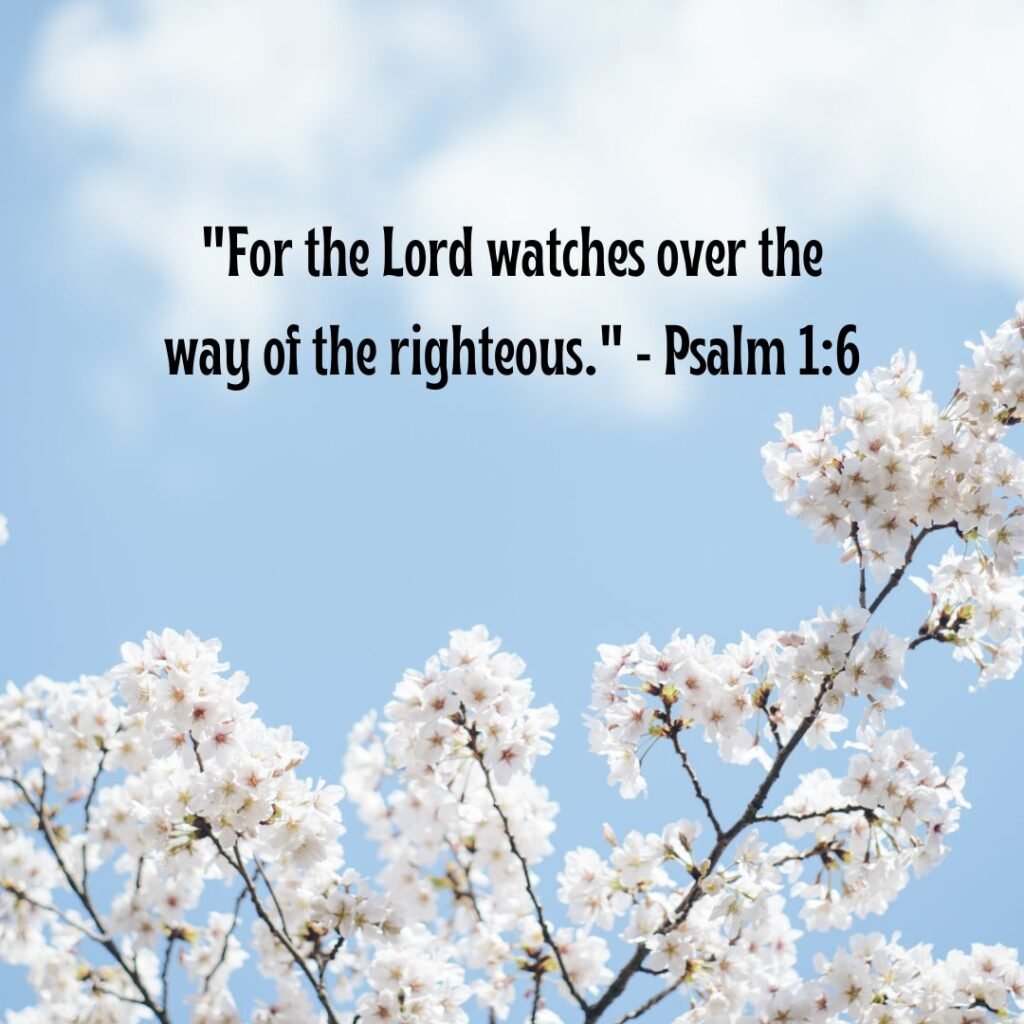 The Path of Righteousness