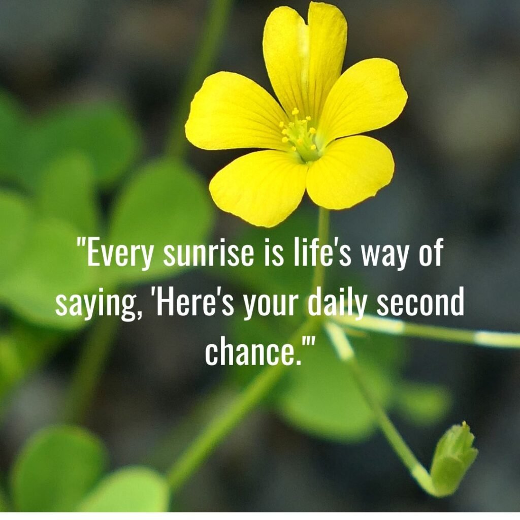 The Gift of New Beginnings