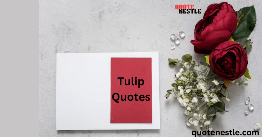 Tulip Quotes