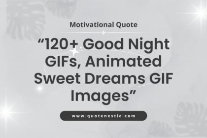 120+ Good Night GIFs, ‎Animated Sweet Dreams GIF Images