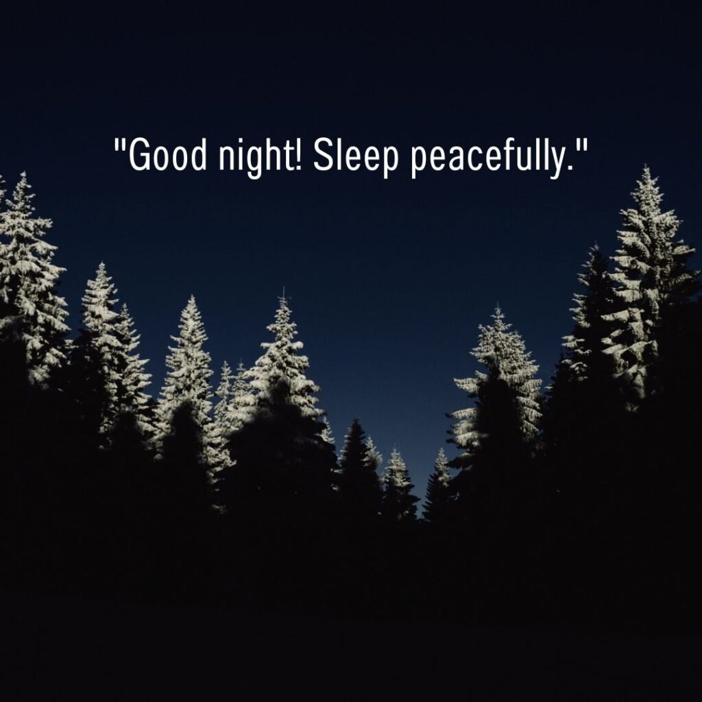 60+ Best Good Night Blessings, Wishes & Quotes