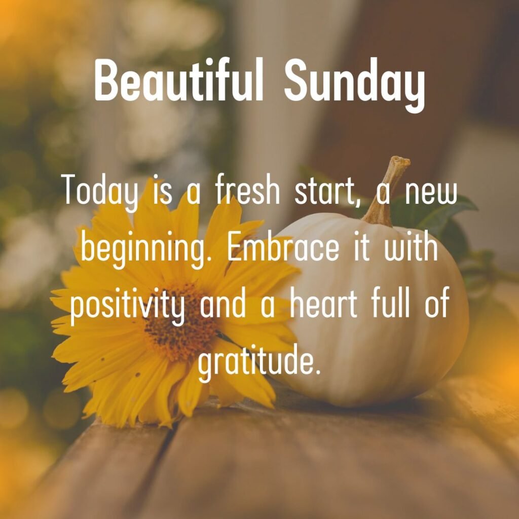 Beautiful Sunday Blessings Quotes, Wishes, and Inspirations