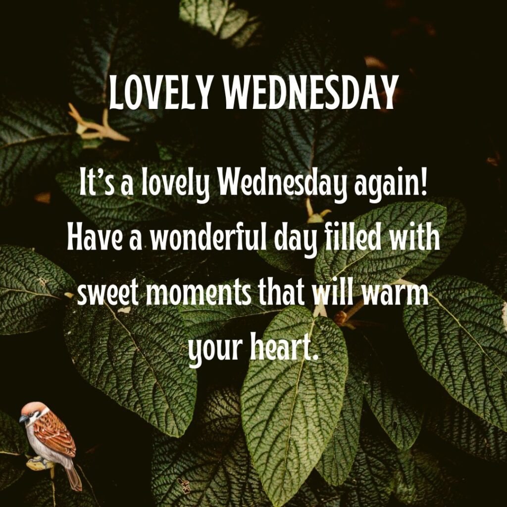 Wednesday Morning Blessings