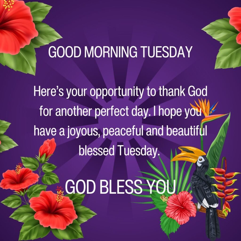 Good Morning Tuesday Blessings