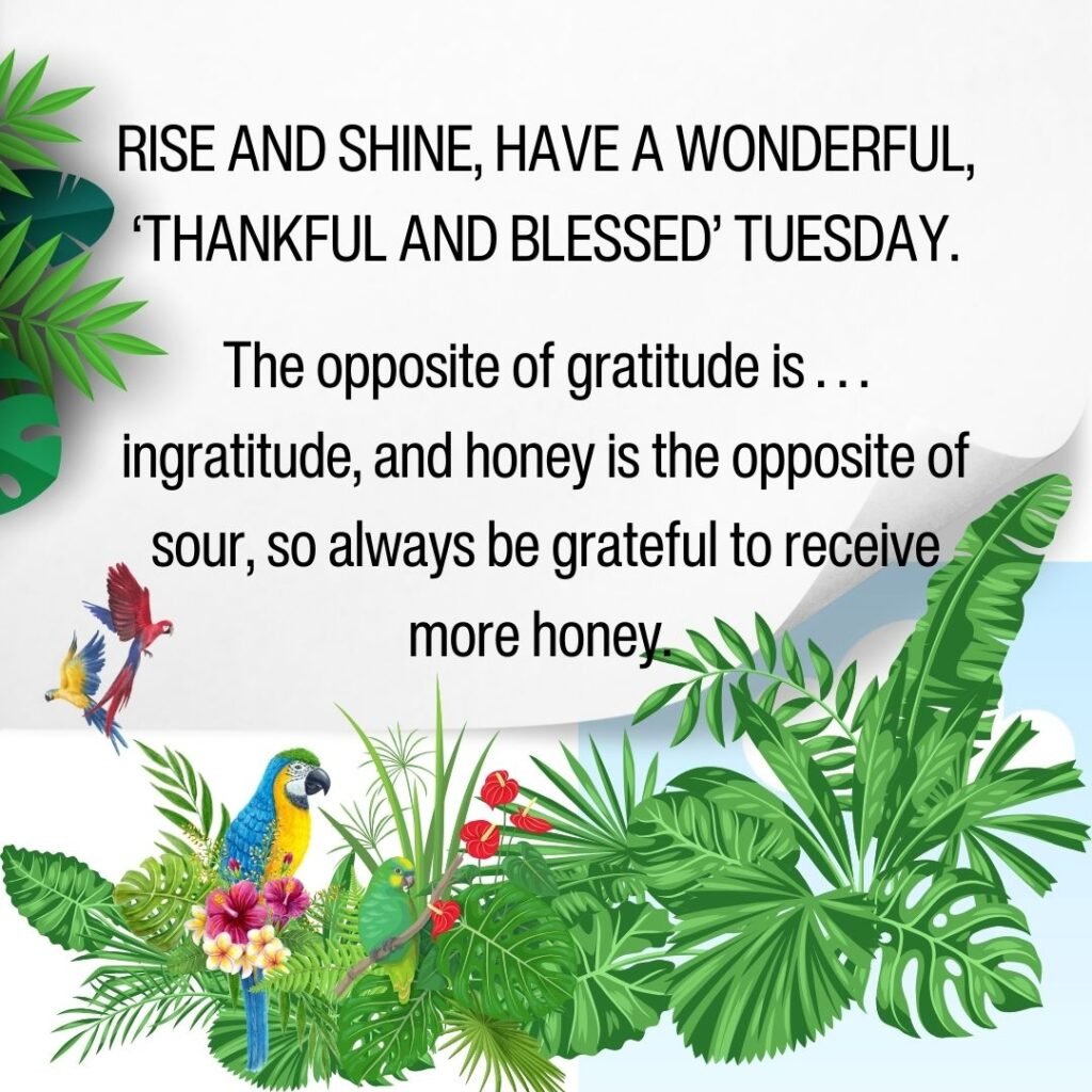 Tuesday Gratitude Blessings