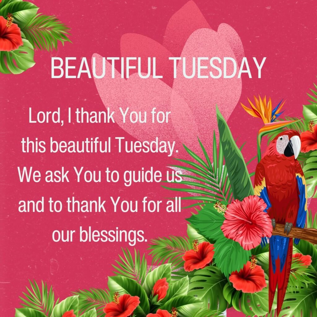 Blessed Tuesday Quotes