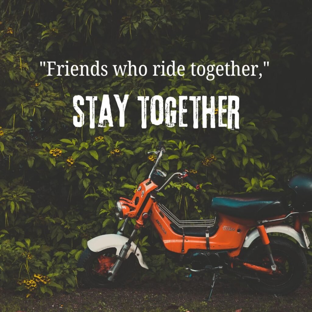 LOVE & CONNECTION