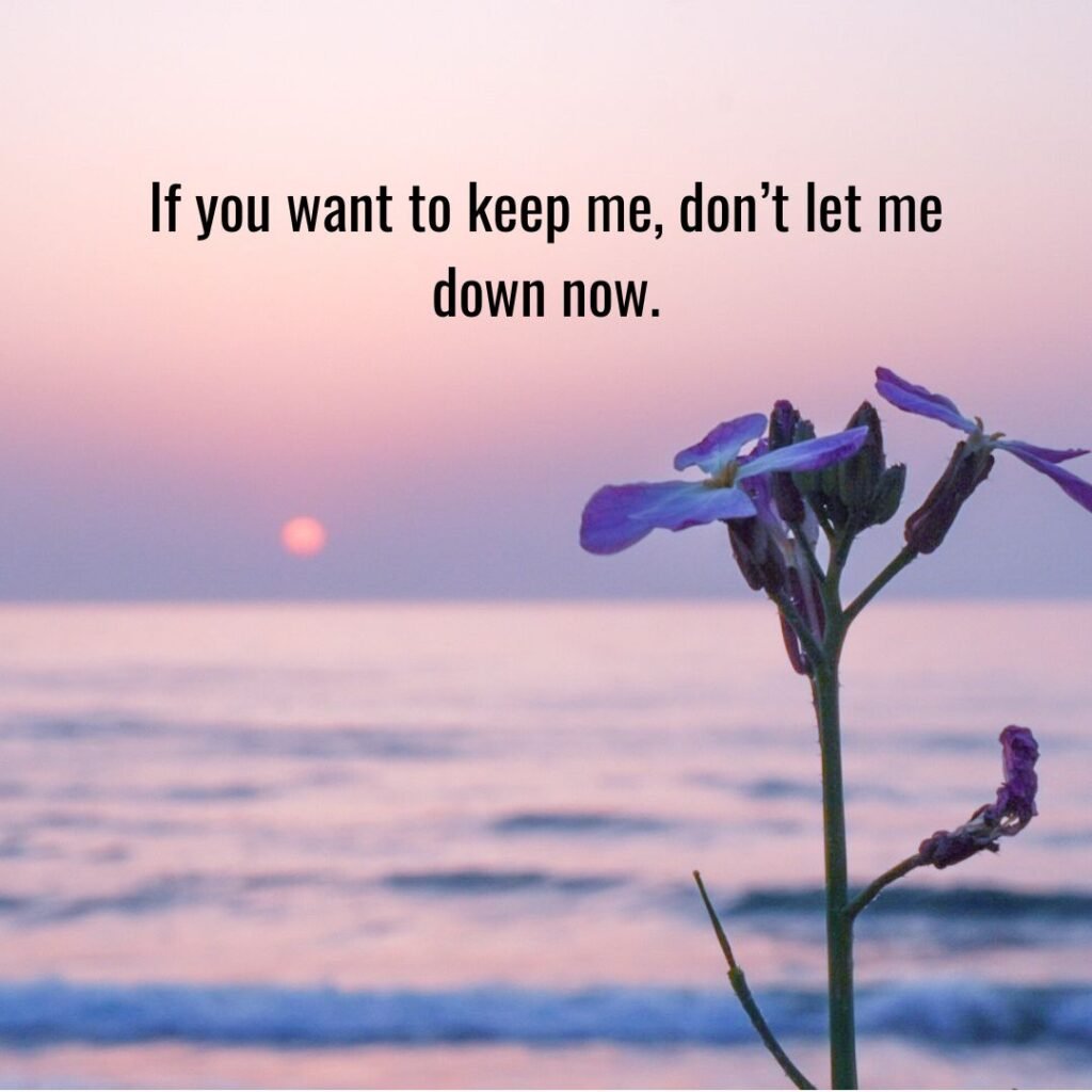 Frank Ocean song quotes​