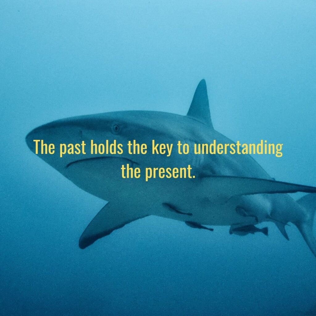 Frank Ocean quotes​