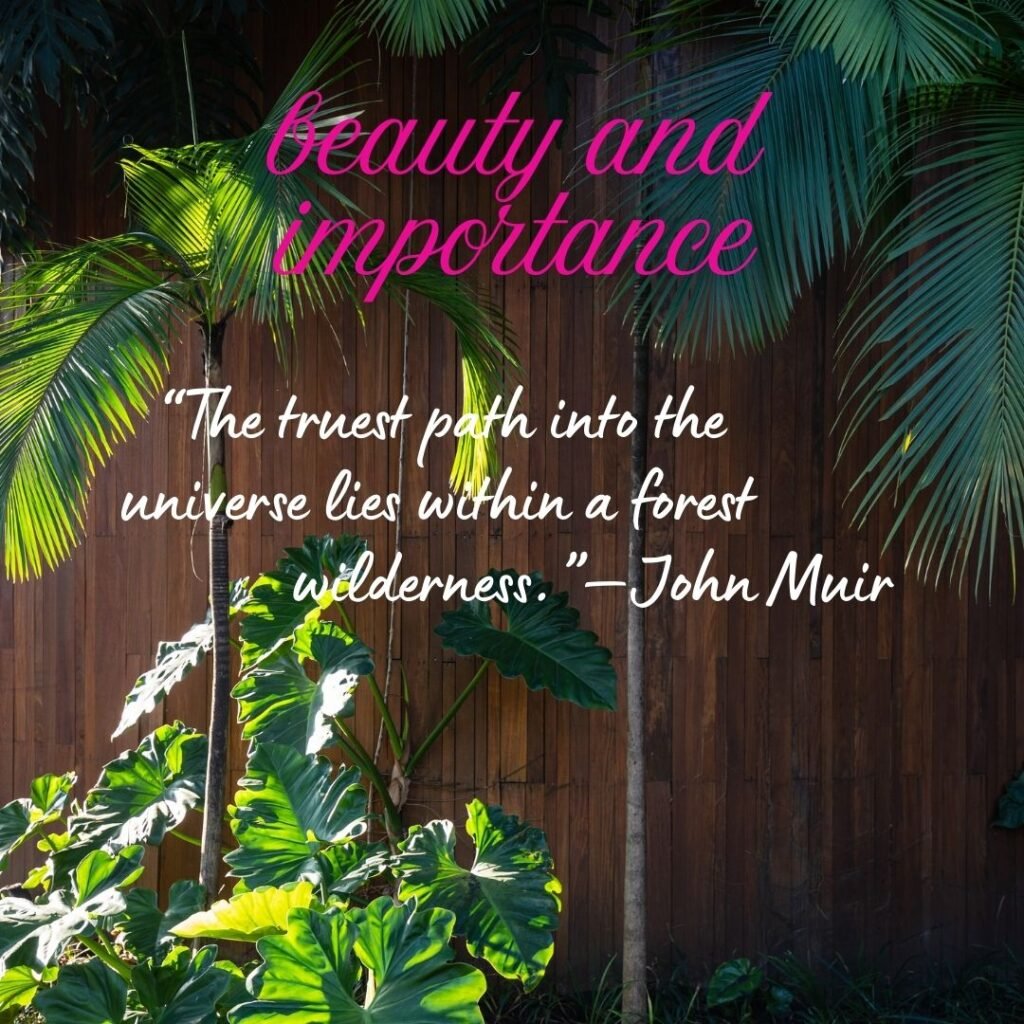 Importance of the natural world