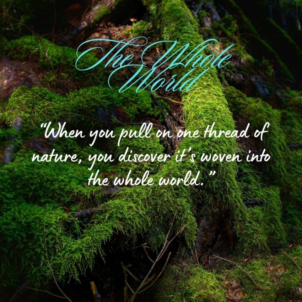 Next Set of John Muir quotes