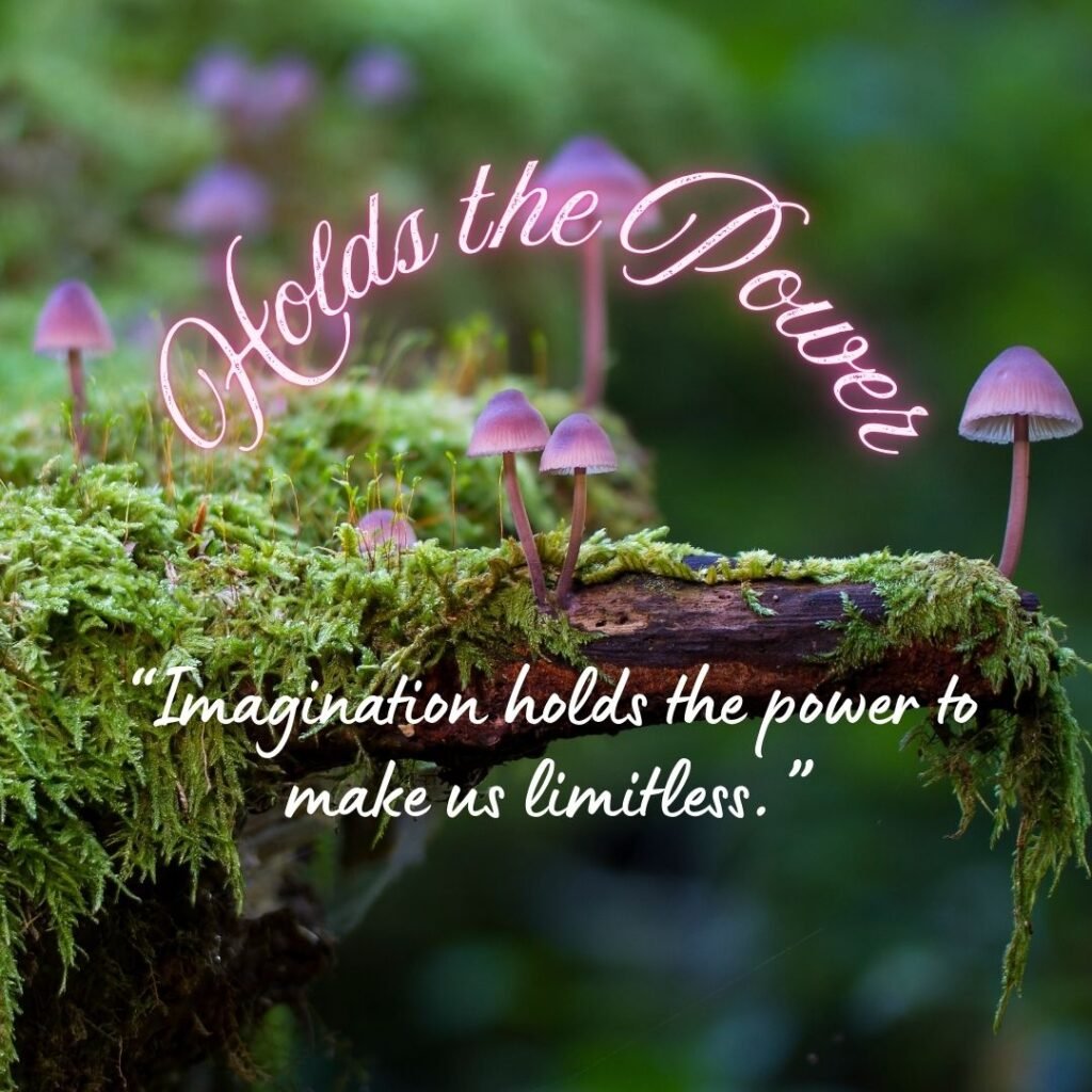 Importance of the natural world