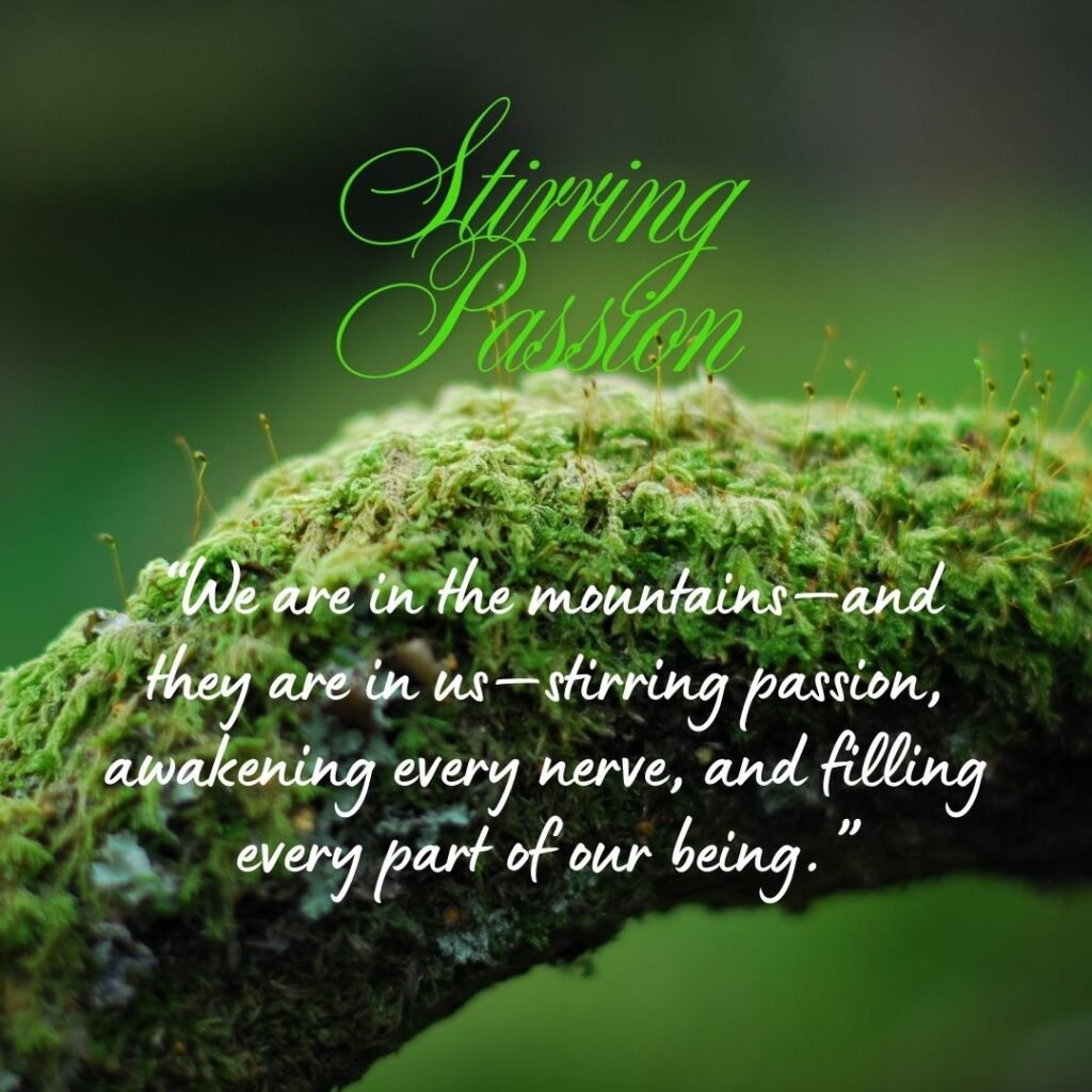 Next Set of John Muir quotes